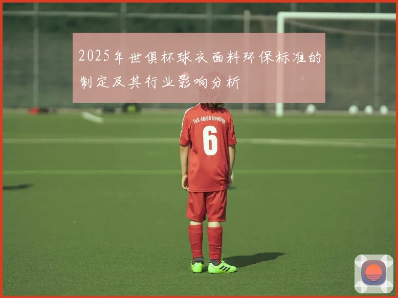2025年世俱杯球衣面料环保标准的制定及其行业影响分析