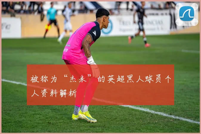 被称为“杰米”的英超黑人球员个人资料解析