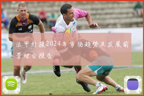 法甲外援2024年市场趋势及发展前景综合报告