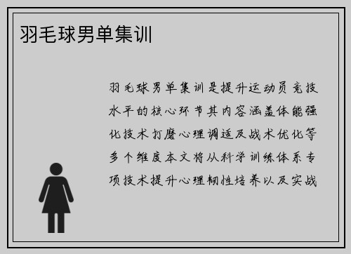 羽毛球男单集训